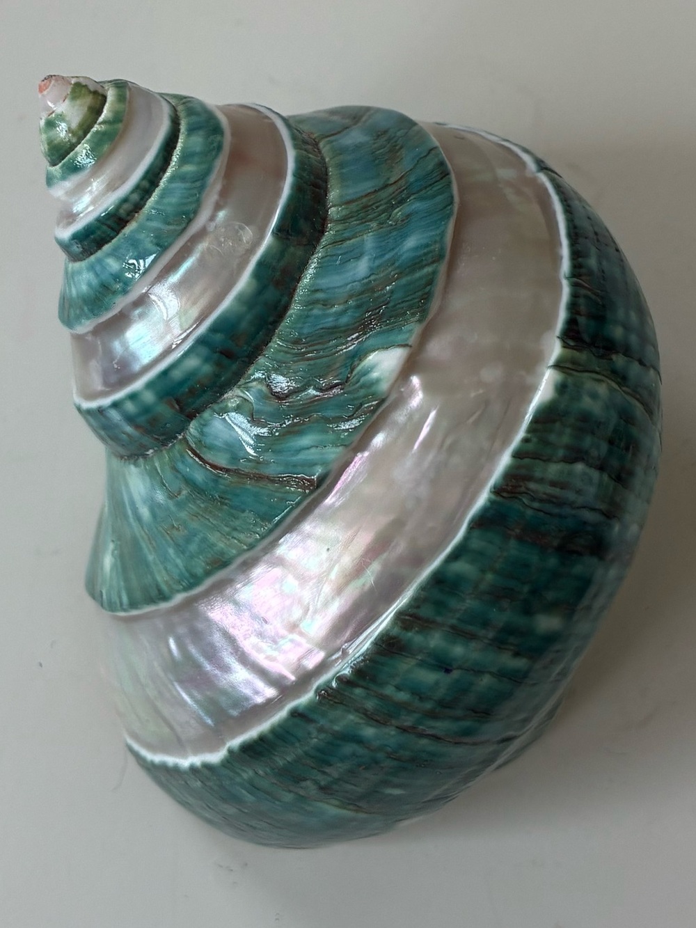 Handpainted Turquoise and Pearl Shell Sculpture - Home Art Accent